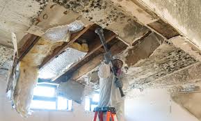 Best Mold Remediation for Healthcare Facilities in West Hill, OH